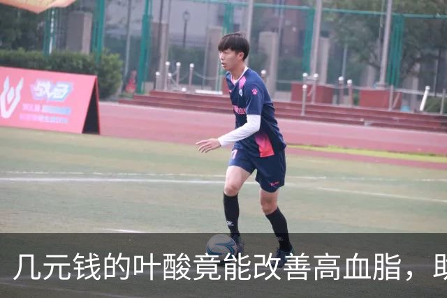 几元钱的叶酸竟能改善高血脂，助推血管健康？